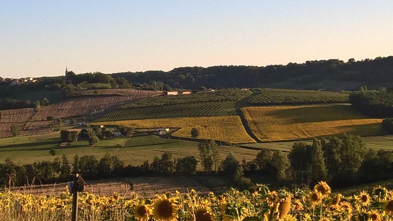 La Maison De Maitre Sainte-Livrade-sur-Lot Eksteriør billede