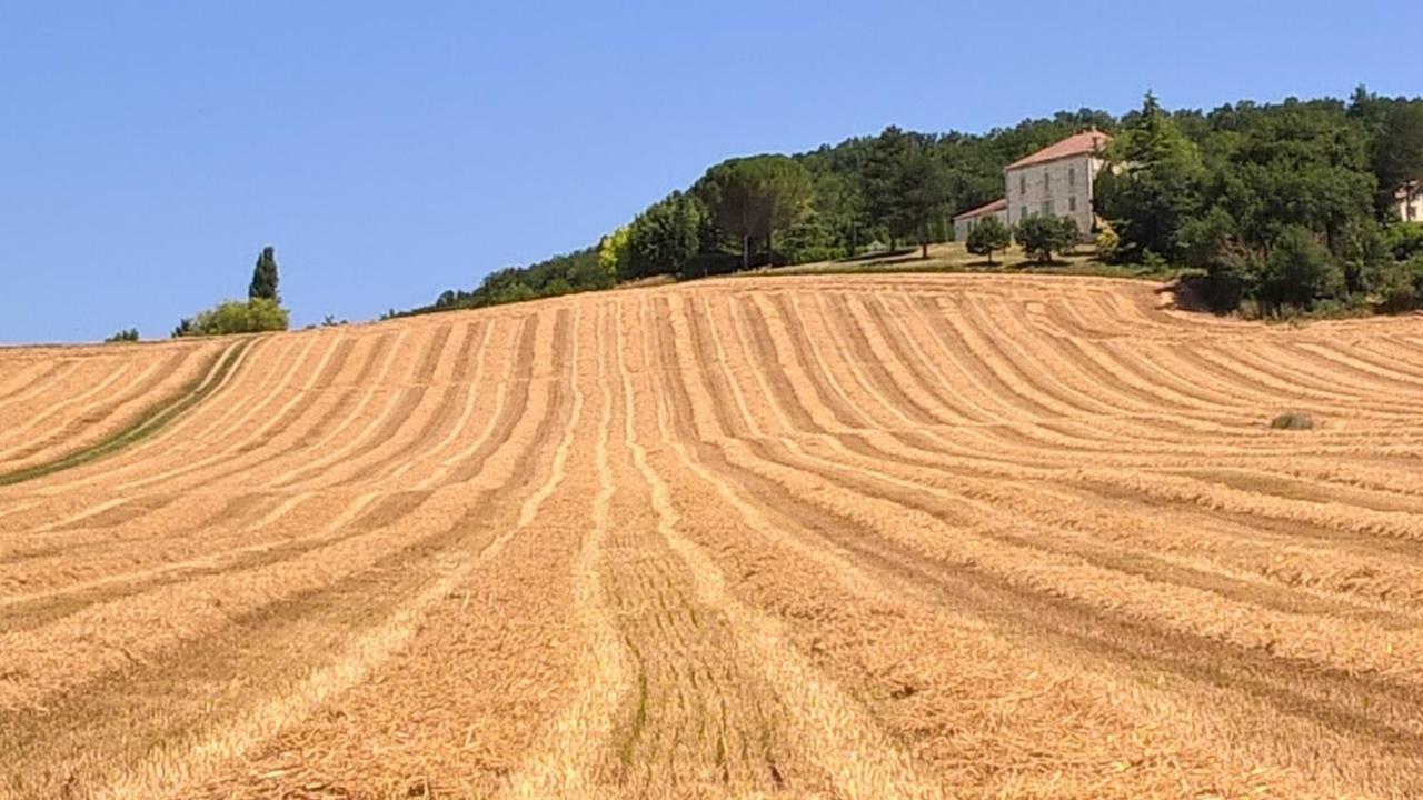 La Maison De Maitre Sainte-Livrade-sur-Lot Eksteriør billede